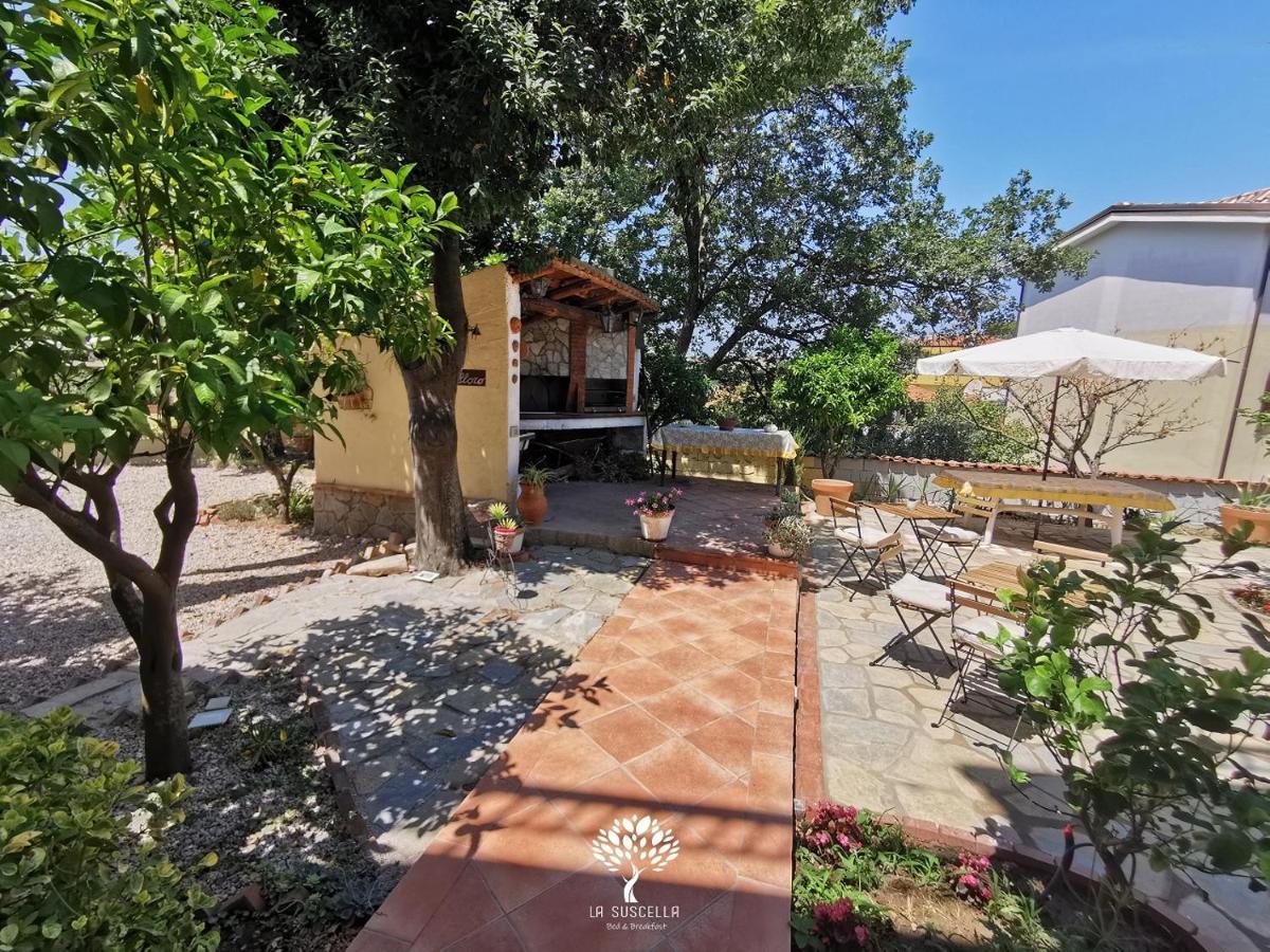 La Suscella Bed & Breakfast Torchiara Exterior foto
